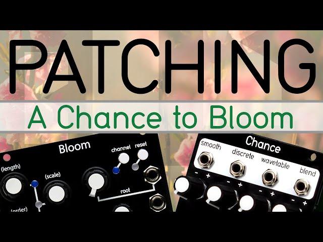 Patching: A Chance to Bloom (Patch from scratch)