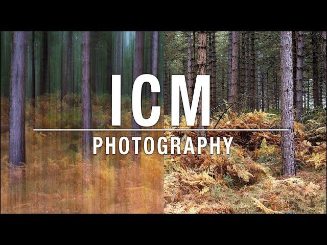 ICM Photography Tutorial – Intentional Camera Movement