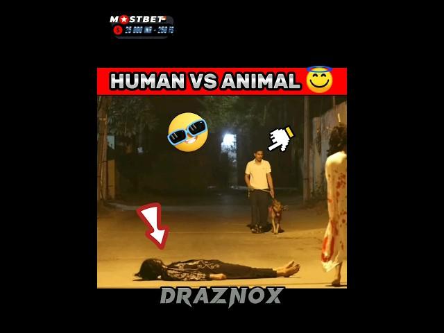 POV:-HUMAN VS ANIMAL || hanuman | #hanumanji #bajrangbali #ghost #prank #viral #video
