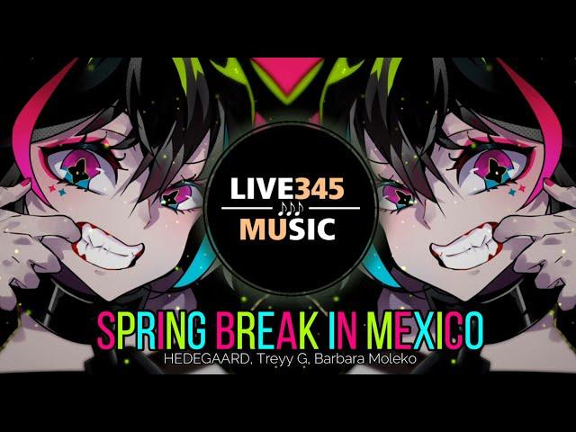 TIKTOK || SPRING BREAK IN MEXICO [HEDEGAARD/Treyy G/Barbara Moleko] - LIVE345MUSIC