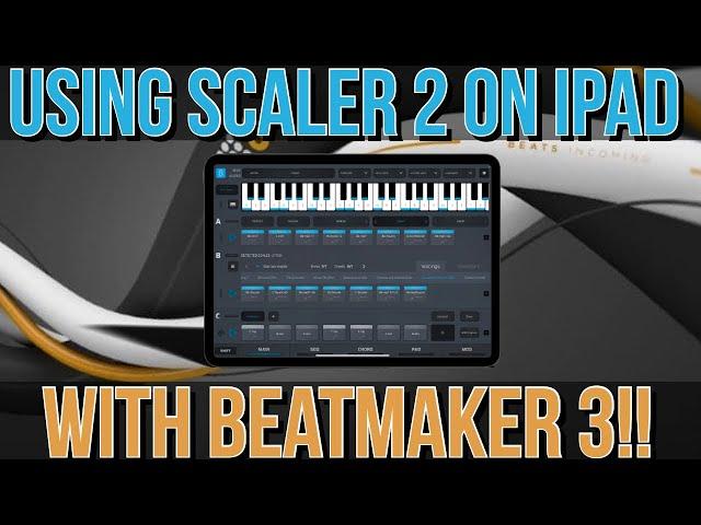 Using Scaler 2 iPad With Beatmaker 3  Workflow Guide!!