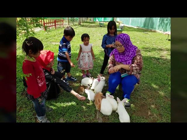 Must Visit Sabah - 1 : Bunnies Secret Garden