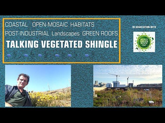 TALKING VEGETATED SHINGLE OPEN-MOSIAC POST-INDUSTRIAL LANDSCAPES GREEN ROOFS RECULVER TO MINNIS BAY