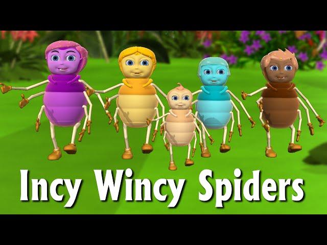 Incy Wincy Spider Nursery Rhyme | Itsy Bitsy Spider  - 3D Animation Rhymes & Songs For Children