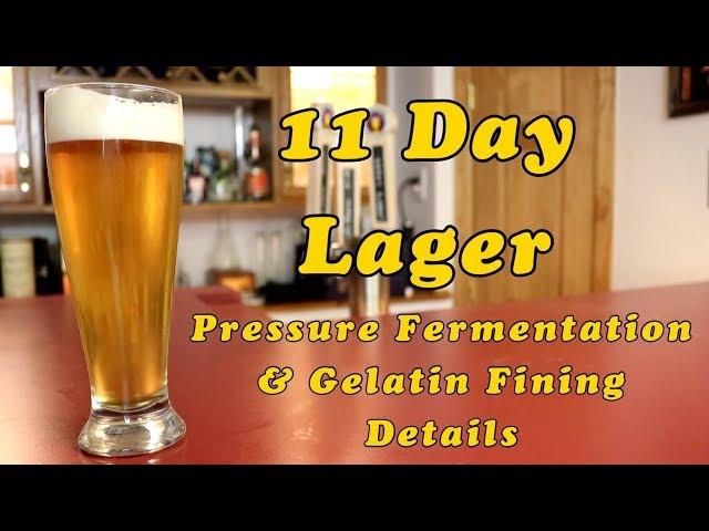 Larry's Quick Lager (Munich Helles): Pressure Fermentation & Gelatin Fining Details