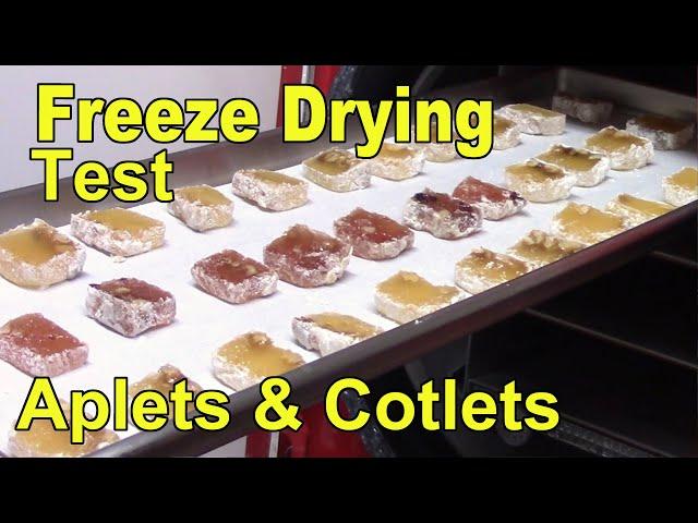 Freeze Drying Test of Aplets and Cotlets