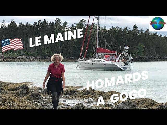 Le Maine aux USA : paradis des homards. SV Storia Storia. Vlog 79