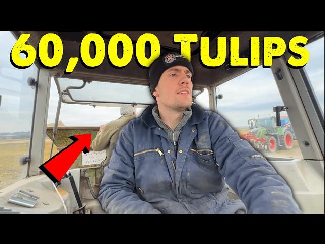 Digger Mess | Tulip Planting | Race Against The Rain