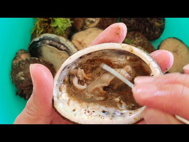 How to Shuck Abalone Easily