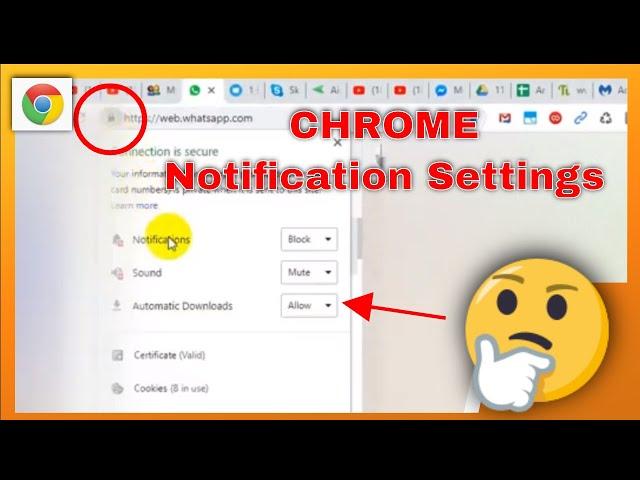 How To Change (e.g. Sound, Notification, Cookies ...) for Each Website On Google Chrome Browser?