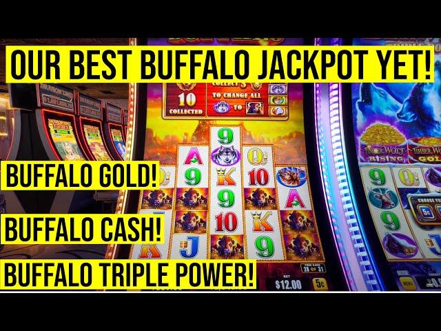 WE PLAYED 3 BUFFALO SLOTS AND GOT OUR BIGGEST BUFFALO JACKPOT EVER!