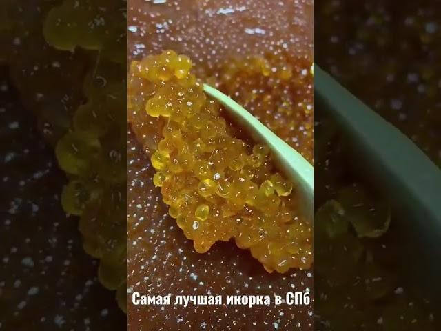 Самая лучшая и вкусная икорка в СПБ.   #невскиеделикатесы   #краснаяикра