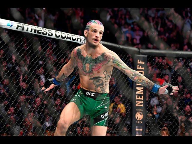 #UFC280 Sean O'Malley: Grandes Éxitos