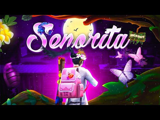 Señorita  PUBG/BGMI 3D Montage | XD