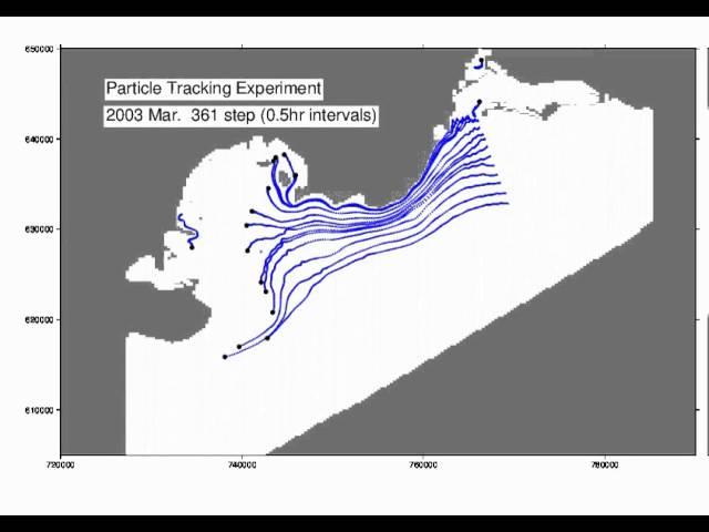 Particle Tracking Experiment at Sea Surface