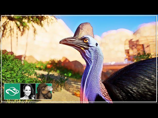  Cassowary Habitat | Desert Franchise Mode | Planet Zoo |