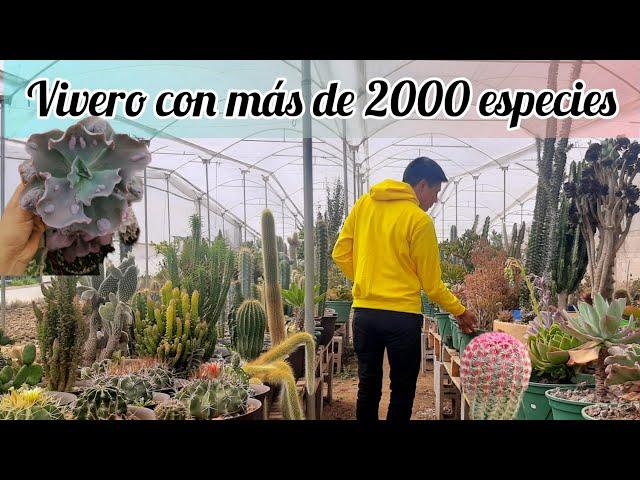 TOUR POR UN VIVERO DE MAS DE 2000 ESPECIES