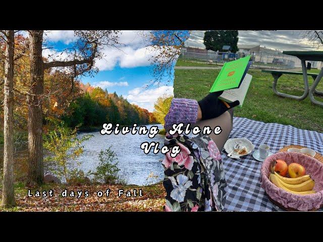 Living Alone in Canada  | Last Days of Fall Vlog | Morning Routine, School, & Picnic