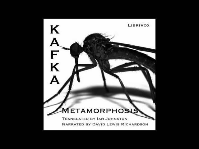 The Metamorphosis by Franz Kafka (Free Audio Book in English Language)