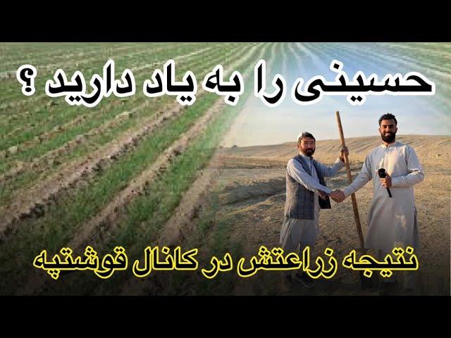 کانال قوش تپه | جمع آوری حاصلات از زمین های زراعتی حسینی در کانال قوش تپه Qosh tepa kanal #کانال