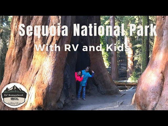 Sequoia National Park - with RV and Kids, big rigs, homeschool