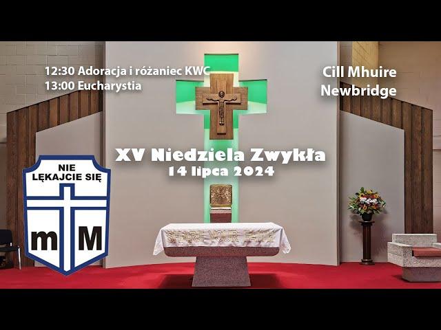 XV Niedziela Zwykła | 14/07/2024