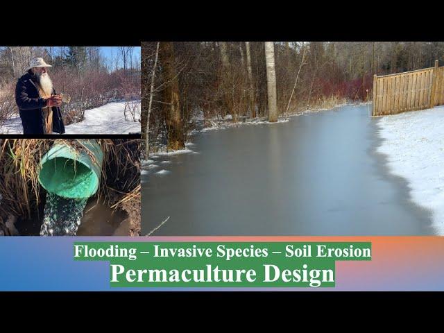 PERMACULTURE Design used to solve FLOODING & EROSION challenges to create a FOOD FOREST.