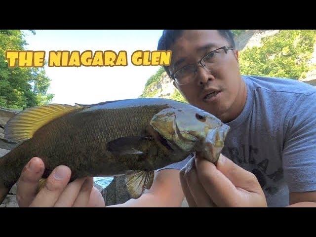 Niagara Glen | Adventure Fishing - Hooking into a bunch of fish!!!!