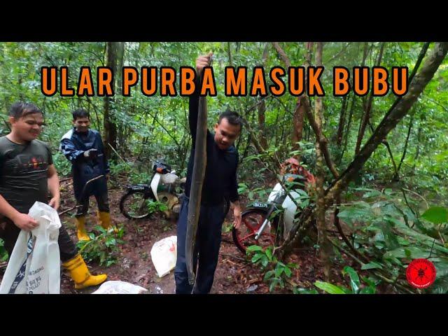 Cari Ular Purba dalam bubu ikan bersama Ayub Muhamad