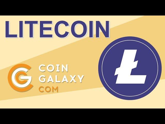 Интересные факты про монету Litecoin. Плюсы и минусы криптовалюты LTC.