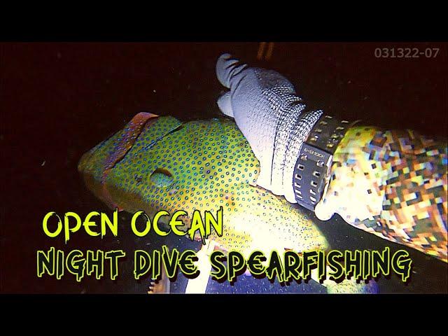 OPEN OCEAN NIGHT DIVE SPEARFISHING / EP1-P1