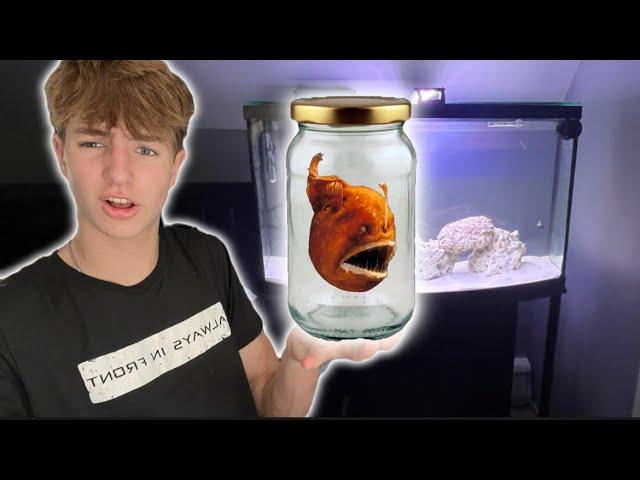 Buying a Fish Mystery Box on the Dark Web!