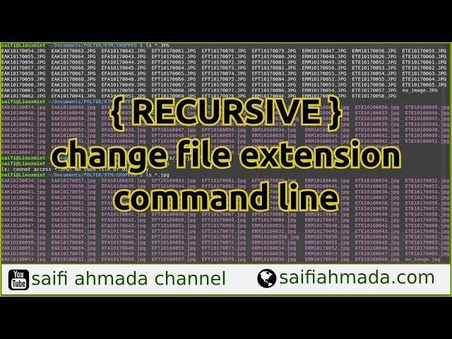 RECURSIVE change file extension command line linuxmint