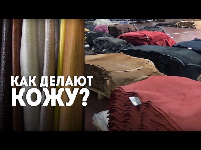 "До 26 рабочих дней!" Как из шкуры животного делают красивую кожу? | ЗАВОД