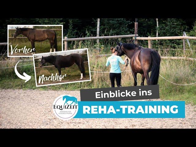 Einblicke ins Reha-Training | #bodenarbeit #rehatraining