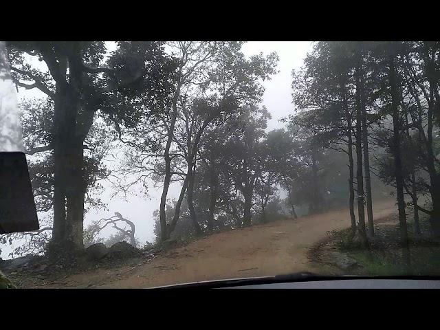 Chail Kali ka tibba temple road