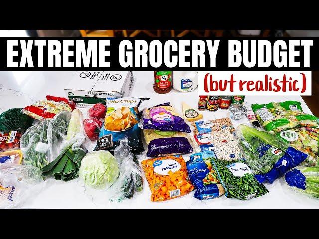 *Realistic* EXTREME Budget GROCERY HAUL & MEAL PLAN