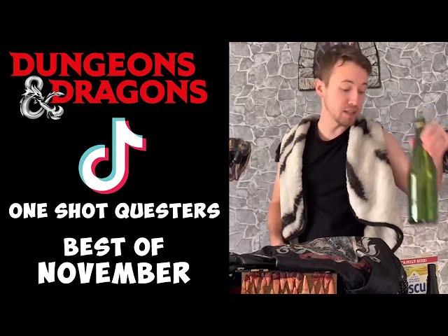 D&D TIK TOK November Compilation | One Shot Questers