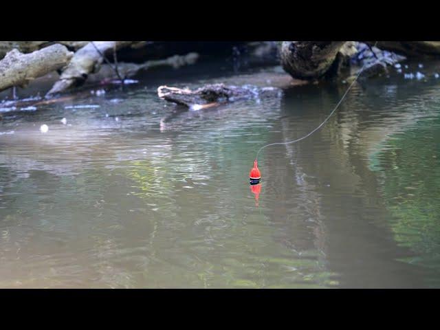 INSANE SUMMER STEELHEAD BOBBER DOWNS! - Tiny Creek Skamania Float Fishing