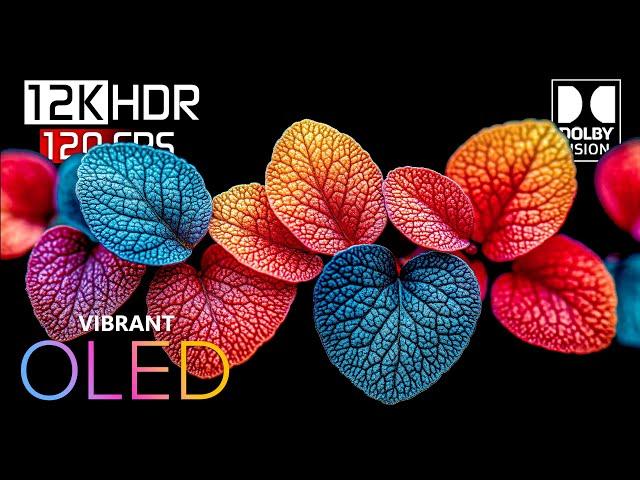 THE COLORS HDR 12K Video ULTRA HD Dolby Vision