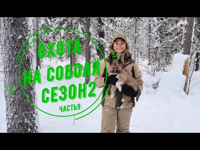 Охота на соболя.Сезон 2. Часть 9. Новая надежда. Соболь есть.