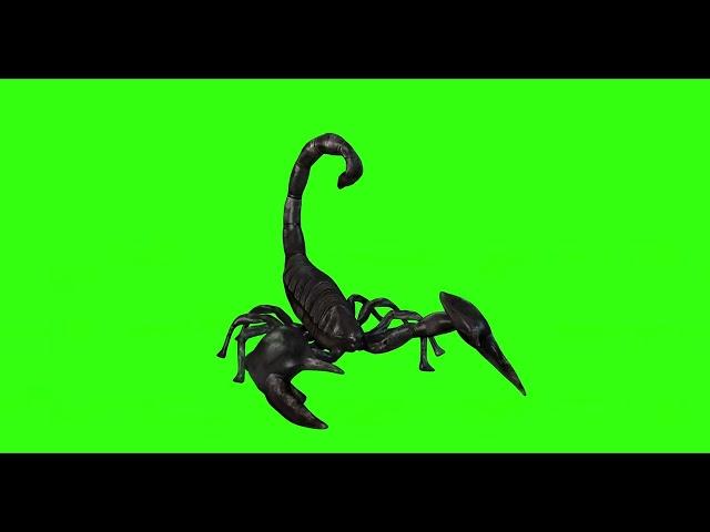 SCORPION #6  || GREEN SCREEN || 4k || ANIMATION  || FREE 3D