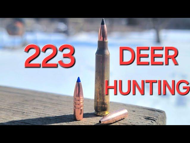 Is a 223 a good caliber for deer season?