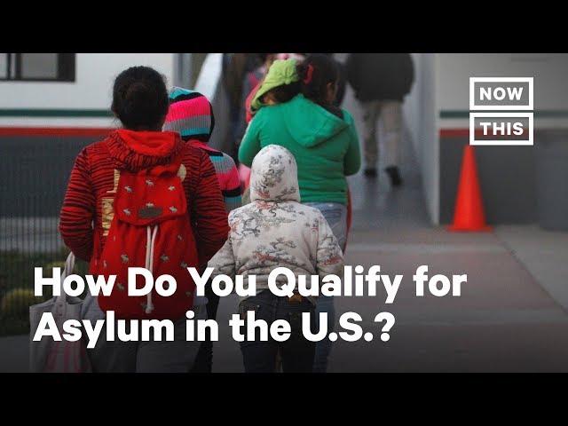 How Do You Qualify for Asylum in the United States? | NowThis