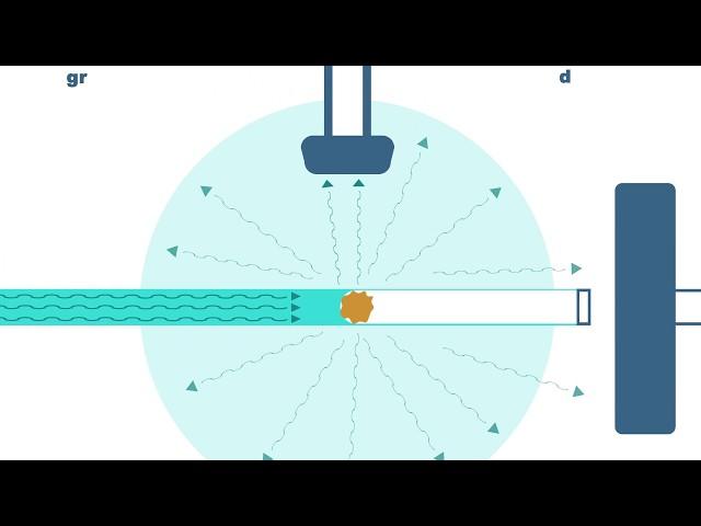 Durchflusszytometer - einfach erklärt | Fast Forward Science 2019