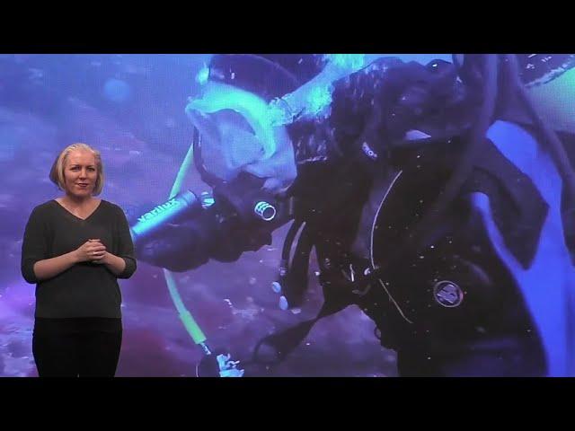 BSL Virtual Dive Through a Rocky Reef in Strangford Lough | NI Science Festival