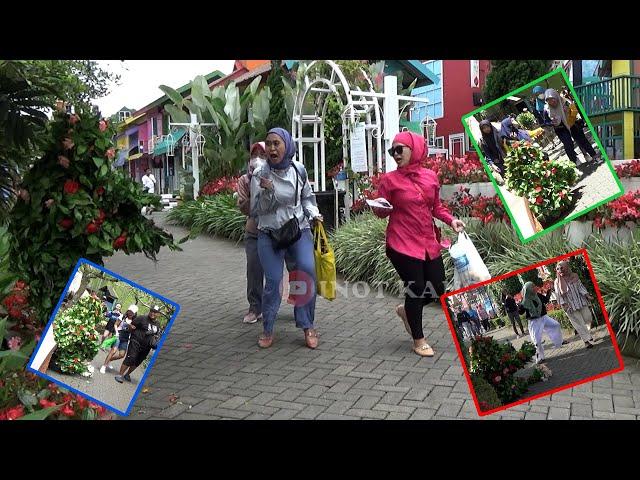 #bushmanprank : Kompilasi Bushman Prank !! KUMPULAN KAGET CEWK-CEWEK #1