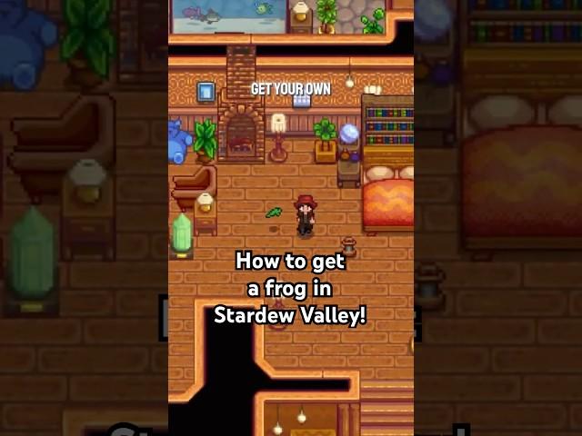 How to Get Frogs in Stardew Valley #stardewvalley #gaming #stardew #stardewtutorial