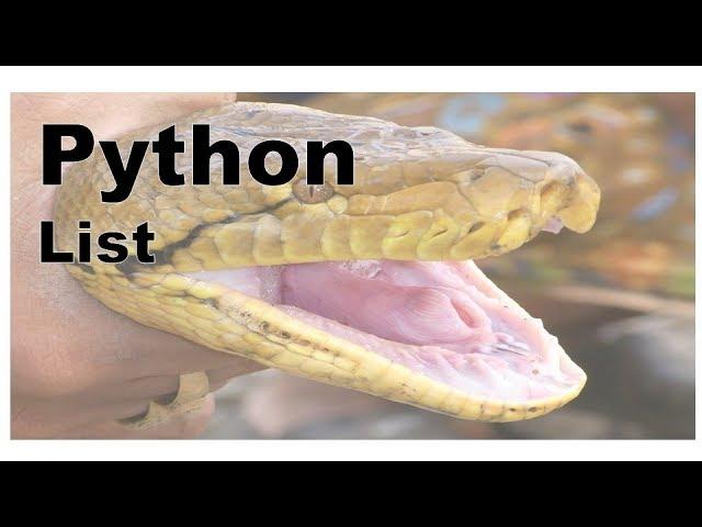 160-Python - List, Append, Pop Methods