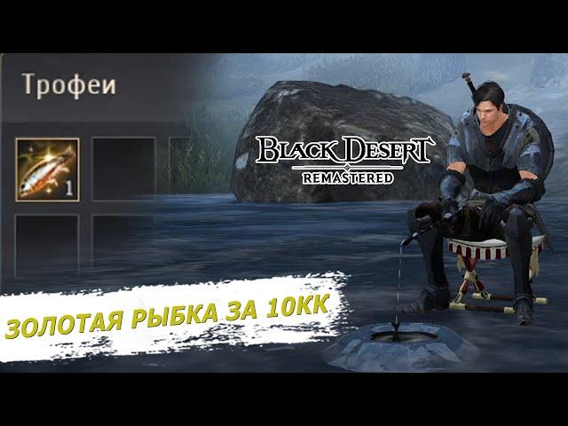 10КК ЗА 30 МИНУТ в БДО ПОЙМАЛ ЗОЛОТУЮ РЫБКУ ЗИМНЯЯ РЫБАЛКА Black Desert Online BDO